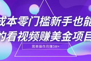 【副业2226期】看视频赚美金项目【视频教程】