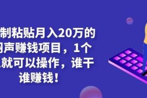 【副业2179期】内容保密的复制粘贴月入20万闷声赚钱项目