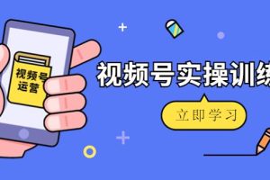 【第5295期】如何在视频号赚钱：从0-1视频号金牌运营，微信运营/账号内容/选品组货/直播全案/起号策略