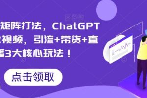 【第5241期】视频号带货怎么做：视频号矩阵打法，ChatGPT批量做视频，引流+带货+直播3大核心玩法！
