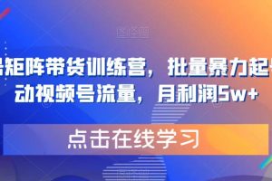 【第5208期】视频号带货怎么做：视频号矩阵带货，批量暴力起号，撬动视频号流量，月利润5w+
