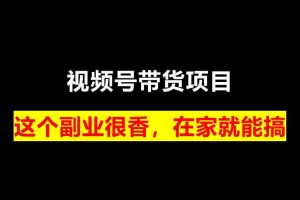 【第5569期】视频号带货变现怎么操作：视频号带货系列课，从0~1做一个赚钱的视频号