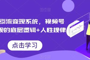 【第5435期】视频号怎么运营引流推广变现：玩转视频号引流变现的底层逻辑+人性规律