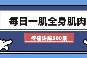 【第8706期】每日一肌全身肌肉疼痛讲解（100集视频）