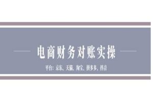 【第8703期】电商财务对账实操-京东天猫淘宝拼多多抖音电商财务对账