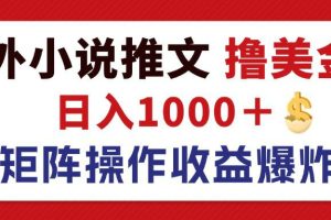 【第8195期】最新海外小说推文撸美金，日入1000＋ 蓝海市场，矩阵放大收益爆炸