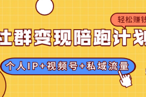 【副业2042期】揭秘社群商业赚钱模式：个人IP+视频号+私域流量