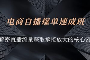 【副业3000期】电商直播干货分享：解密电商直播流量获取承接放大的核心密码