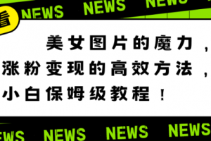 【第6842期】美女图片的魔力,涨粉变现的高效方法,小白保姆级教程!