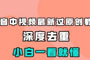 【第6031期】抖音中视频最新过原创教程，深度去重，小白一看就懂【揭秘】