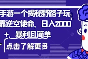 【第6028期】抖音手游一个揭秘野路子玩法，靠逆空使命，日入2000+，暴利且简单
