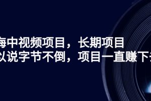 【副业3038期】如何做中视频赚钱：中视频长期项目，字节不倒项目不倒（教程+素材+工具）