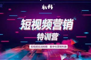 【副业3227期】做餐饮怎么拍短视频：绒姐餐饮短视频“0”元爆店课，玩转餐饮行业短视频营销