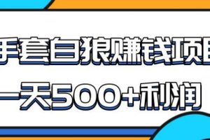 【副业1988期】某团队内部实战赚钱项目，一天500+利润，人人可做，超级轻松