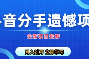 【第5464期】抖音分手赚钱的套路：自媒体抖音分手遗憾项目私域变现项目拆解全套