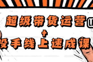 【副业2514期】数据哥精品课：超级带货运营+投手线上速成课（价值4980）