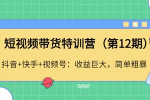 【副业4013期】短视频带货怎么做：抖音+快手+视频号，短视频带货特训营（第12期）