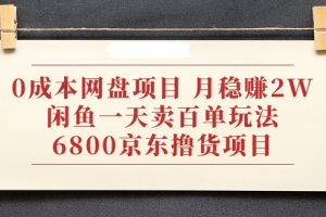 【副业2352期】网盘副业项目：月赚2W+闲鱼一天卖百单玩法+6800京东撸货项目