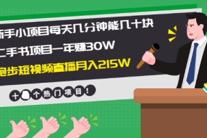 【副业2405期】10个适合新手的副业小项目-实操文档