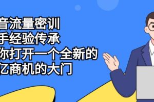 【副业2662期】抖音流量怎么副业赚钱：抖音流量密训，打开全新百亿商机大门