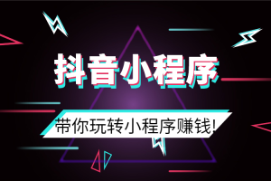 【副业2659期】抖音小程序怎么赚钱：D1G·抖音小程序赚钱项目，价值990