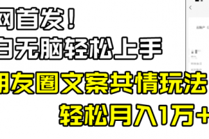 【第6999期】小白轻松无脑上手，朋友圈共情文案玩法，月入1W+