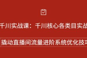 【副业2723期】巨量千川怎么投放：巨量千川核心各类目实战打法，撬动直播间流量