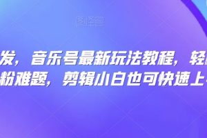 【第6261期】全网首发，音乐号最新玩法教程，解决涨粉难题，剪辑小白快速上手