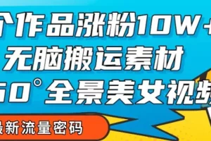 【第6171期】7个作品涨粉10W+，无脑搬运素材，全景美女视频爆款玩法