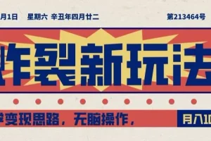 【第6157期】炸裂新玩法，哲学变现思路，无脑操作，只靠单人月入10000+