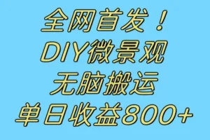 【第6047期】全网首发冷门赛道！DIY微景观，无脑搬运视频，日收益800+