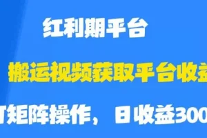 【第6005期】搬运视频获取平台收益,平台红利期,附保姆级教程【揭秘】