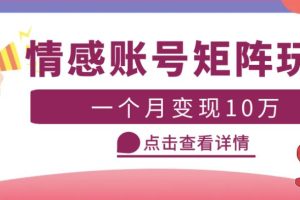 【第4777期】情感号怎么赚钱：云天情感账号矩阵项目，月入10万+可放大（教程+素材）