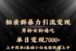 【第6945期】相亲群暴力引流男粉女粉通吃变现玩法，单日变现7000+保姆教学1.0