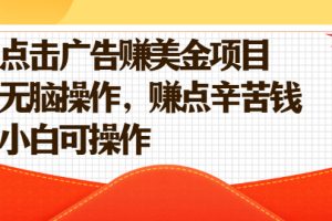 【副业2598期】点击广告赚美金副业项目（视频教程）