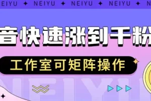 【第5994期】短视频赛道夫妻搞笑动画视频，一部手机即可操作，操作简单方便轻松日入200+