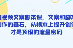 【第5976期】短视频文案怎么写:爆款短视频文案脚本课,提升文案创作能力搞定流量密码