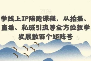 【第5910期】国学玄学引流变现：国学玄学线上IP陪跑，从拍摄、剪辑、运营、直播、私域引流等全方位教学