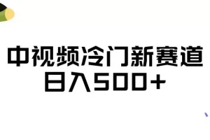 【第5838期】中视频冷门新赛道，做的人少，三天之内必起号，日入500+【揭秘】