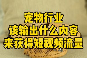 【第5028期】宠物短视频怎么做：宠物行业短视频运营课，解决流量焦虑&实现降本增效