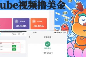 【第6826期】playtube撸美金项目，单日收益30美金+工作室可批量搞