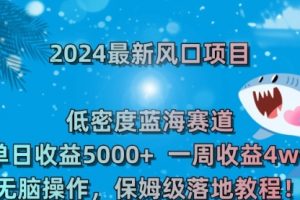 【第6787期】2024最新风口项目 低密度蓝海赛道，日收益5000+周收益4w+ 无脑操作