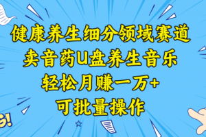 【第6767期】健康养生细分领域赛道，卖音药U盘养生音乐，轻松月赚一万+，可批量操作