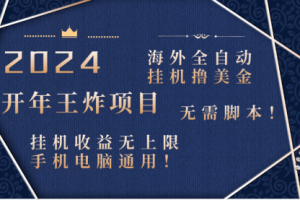 【第6764期】2024海外撸美金项目!手机电脑均可