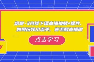 【第4828期】抖音怎么赚钱：哈哥·3月线下实操全套教程，如何玩转小而美，高毛利直播间