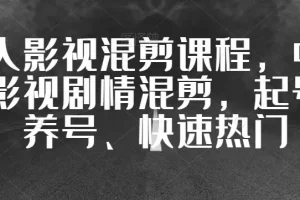 【第5685期】影视混剪教程：华人影视混剪，中视频影视剧情混剪，起号、养号、快速热门