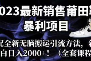 【第5592期】卖莆田鞋一年赚百万：2023最新莆田鞋暴利项目，全新短视频无脑搬运引流