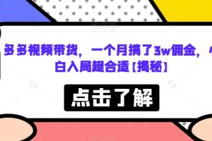 【第5380期】多多视频带货赚佣金：小白入局超合适多多视频带货，一个月搞了3w+佣金