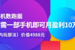 【副业2818期】挂机跑数据副业：一部手机月盈利10W＋（内部玩法）价值4988