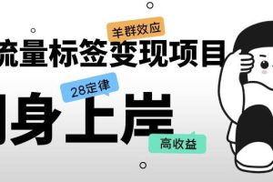 【第4739期】抖音变现怎么做：单价高抖音创业粉转化，抖音流量标签变现项目